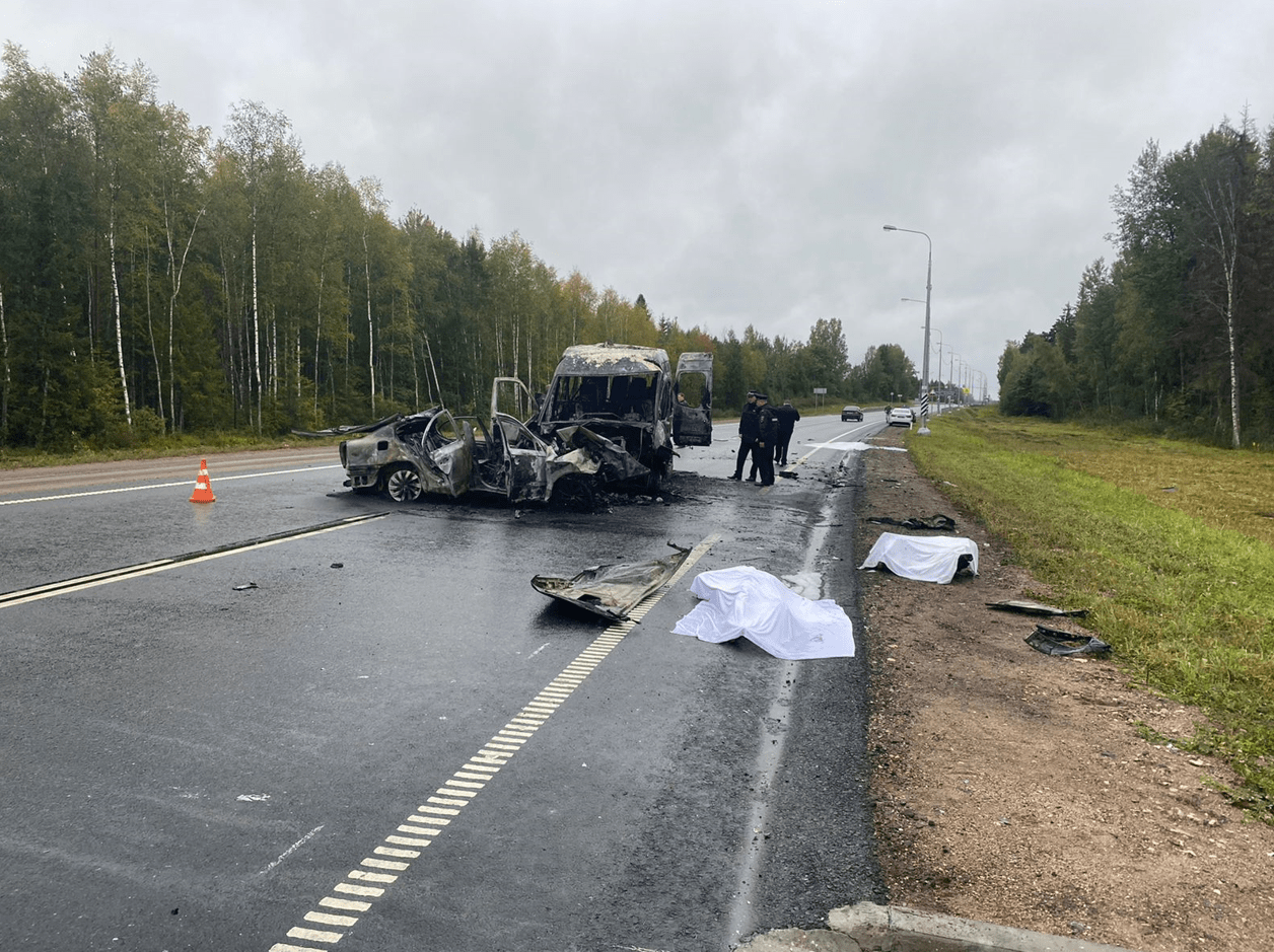 В Опочецком районе произошло смертельное ДТП | 12.09.2022 | Великие Луки -  БезФормата